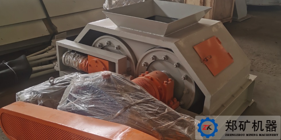 江蘇對輥造粒機項目